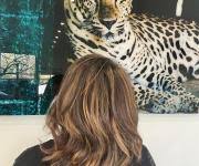 Recherche coiffeur(se) auto entrepreneur