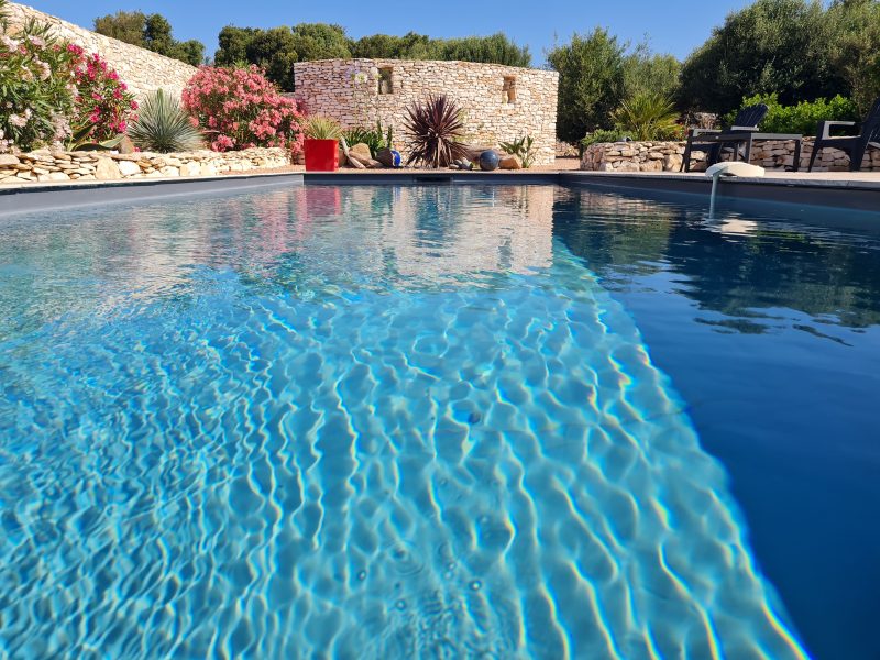 Pisciniste